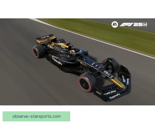 聚焦F1赛场风云变幻新赛季车队角逐全景观察与前景展望加强势解析